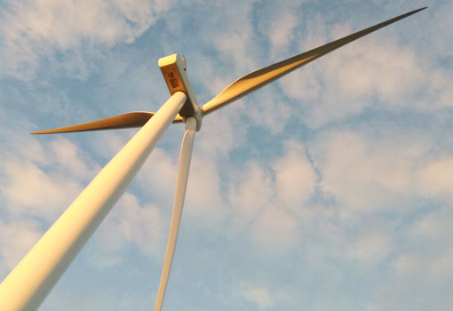 Geração de energia eólica cresceu 17,8% entre janeiro e julho; região Nordeste domina a produção de energia movida por ventos