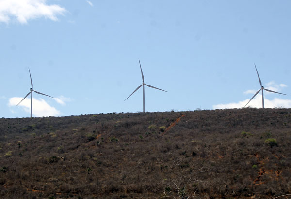 Bahia comercializa 55% de novos projetos eólicos em leilão de energia