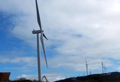 Energia vai de vento em popa na Bahia
