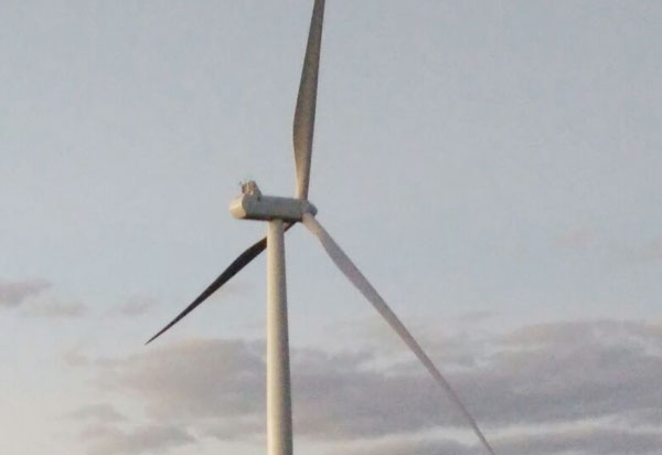 Bahia é o estado com maior geração de energia eólica no país