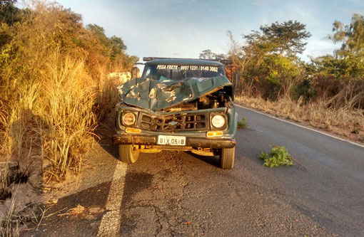 Motorista brumadense colidiu veículo contra uma vaca na BR-462