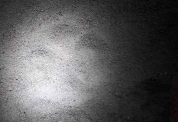 Pegadas de onça são vistas por moradores de Guanambi