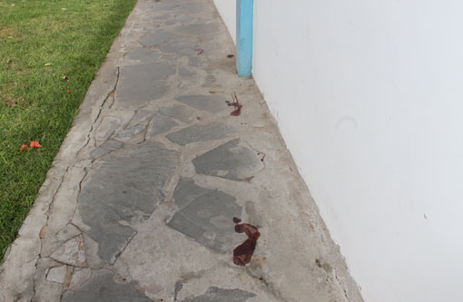 Brumado: Porta de vidro do autoatendimento do Bradesco na prefeitura é quebrada por vândalo