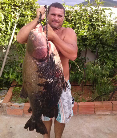 Tanhaçu: Peixe de quase 32 kg é pescado na região