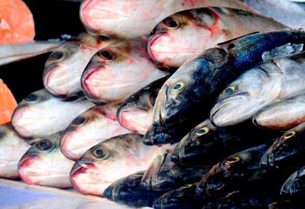 Secretaria da Saúde da Bahia investiga seis casos suspeitos da doença de Haff  