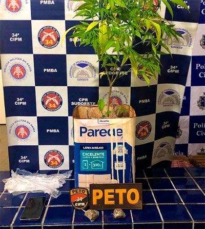 Brumado: Polícia apreende porções e pé de maconha em casa no bairro Malhada Branca