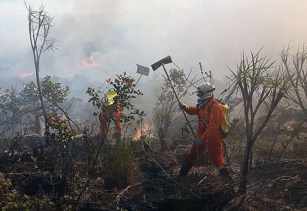 Chapada Diamantina: Incêndio na Serra do Tromba é controlado após 5 dias