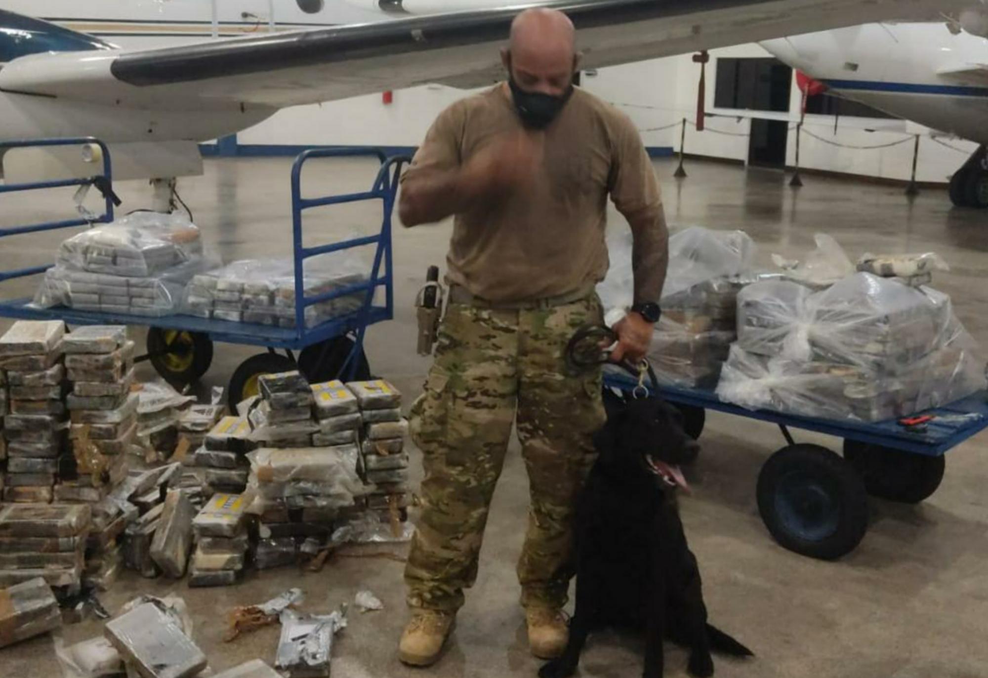 Salcador: Cães da Polícia Civil encontram meia tonelada de cocaína em avião