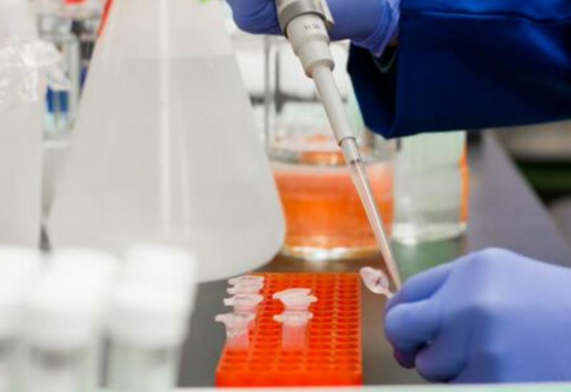 SUS vai adotar vacina para a Covid-19 que estiver pronta primeiro, diz MS