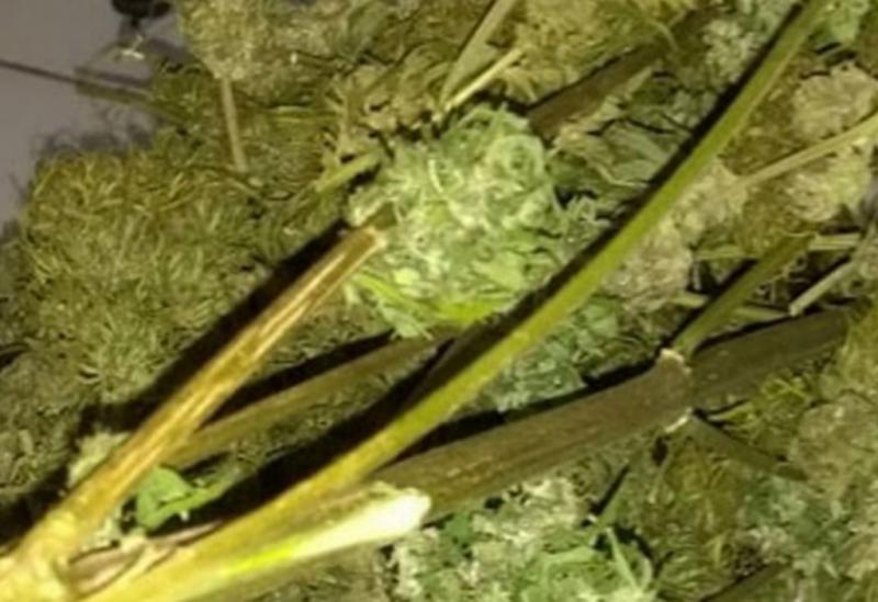 Durante apreensão de maconha Skank, policial é agredido com tapa no rosto em Ibicoara