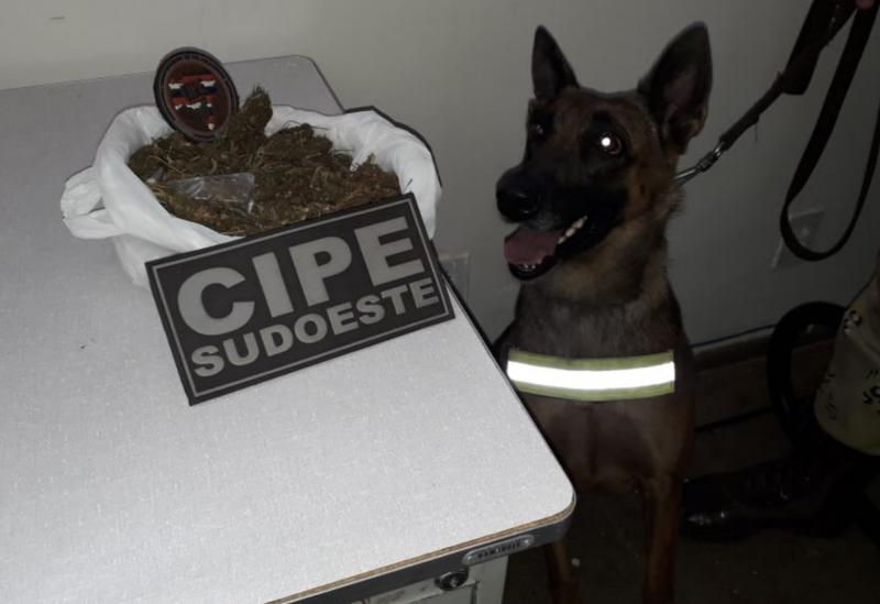 Livramento: Caesg apreende droga próximo ao Mirante