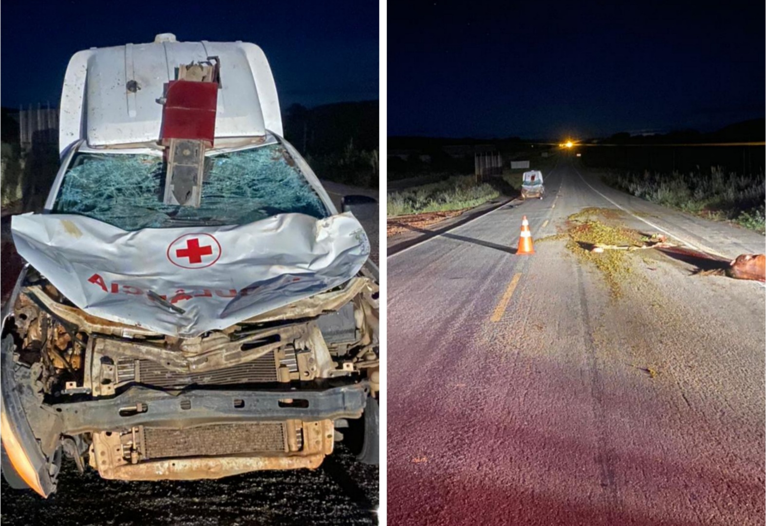 Ambulância colide contra animal solto na pista no trecho entre Brumado e Aracatu