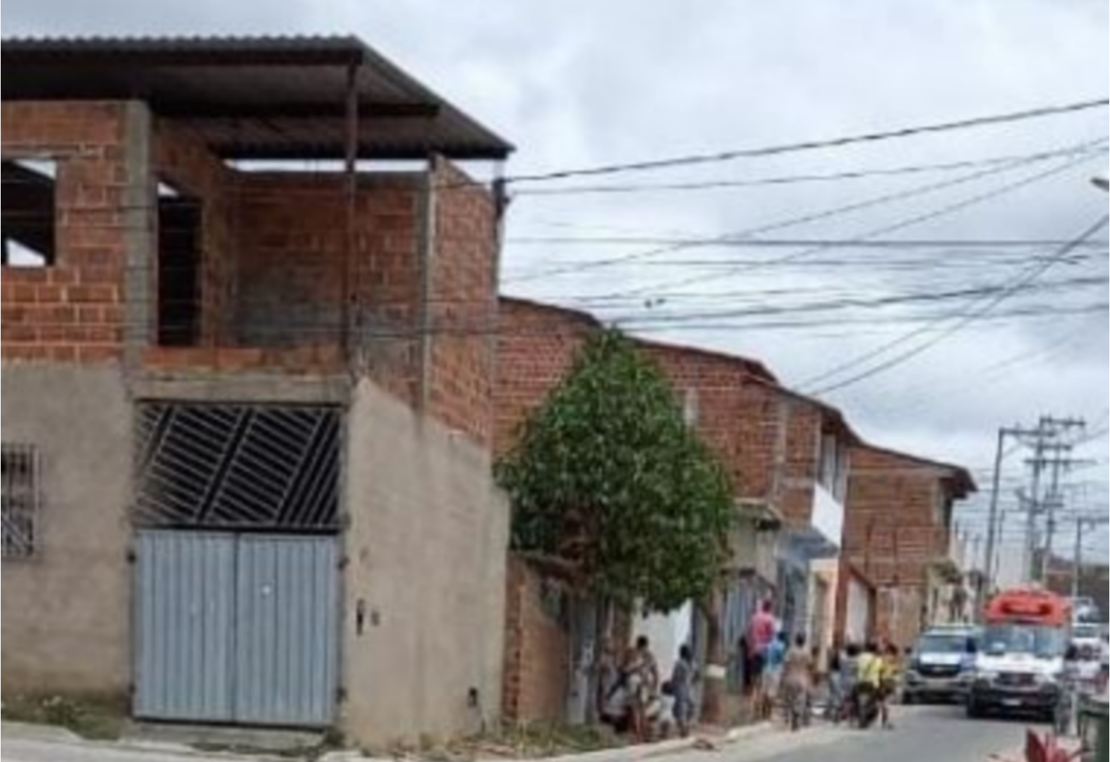 Jequié: Criança de 03 anos morre após ser atacada por cão da raça pitbull