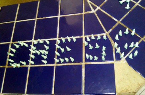 Brumado: Casal é detido no Loteamento Malhada Branca acusado de tráfico de drogas