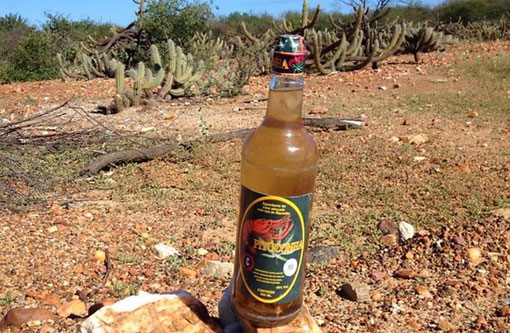 Cachaça com maconha produzida em Cabrobó vira sensação no Sertão