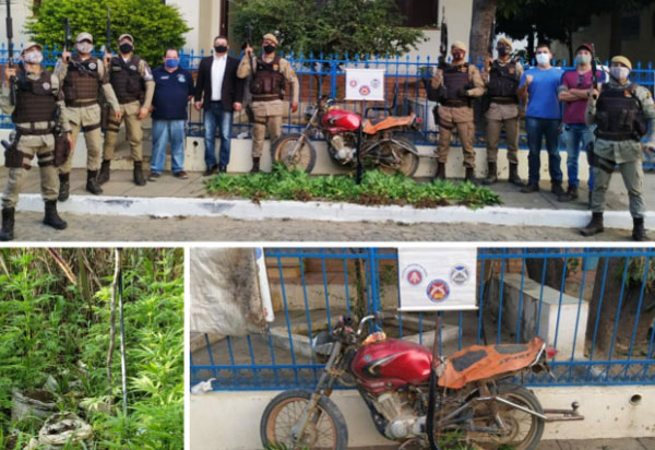 Polícia localiza plantação de maconha e arma na zona rural de Condeúba