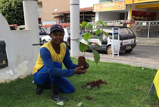 Secretaria de Meio Ambiente promove replantio de árvore na Praça Coronel Zeca Leite