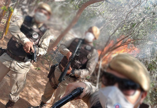 Polícia Militar incinera plantação de maconha em Presidente Jânio Quadros