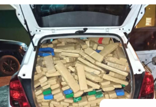 PMGO apreende mais de 1 tonelada de entorpecentes; Brumadense de 19 anos está envolvido