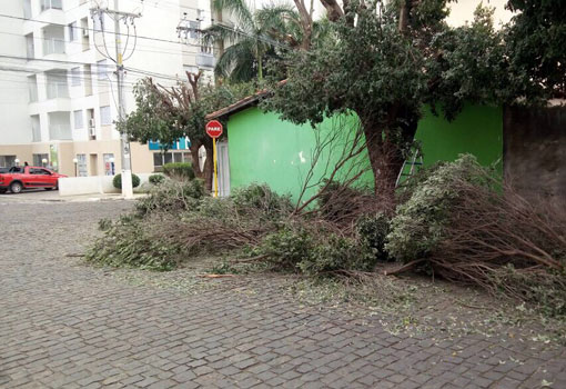 Brumado: Secretaria de Meio Ambiente e SMTT realizam operação conjunta para apurar crime ambiental em logradouro público