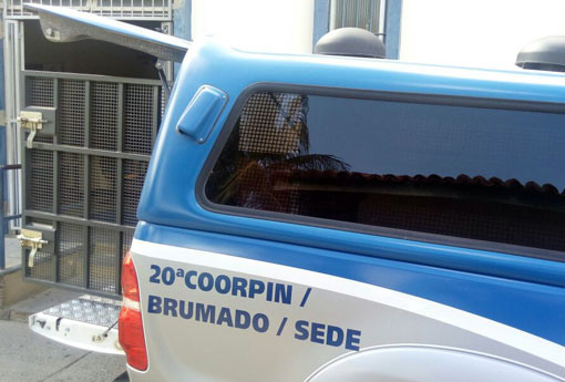 Aracatu: Polícia Civil age rápido e prende mulher acusada de mandar matar o esposo