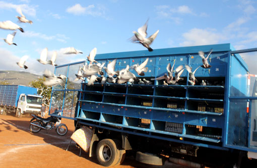Brumado foi palco para largada da corrida de Pombos-Correios