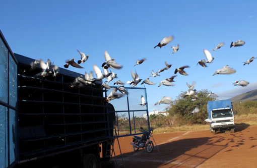 Brumado foi palco para largada da corrida de Pombos-Correios