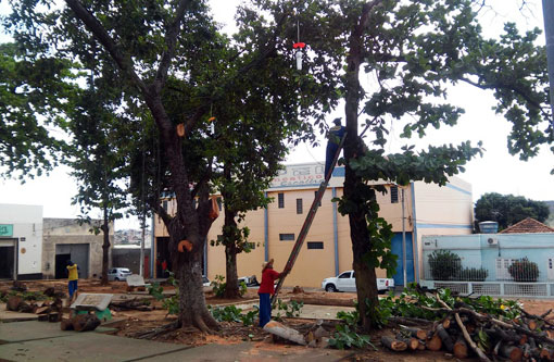 Brumado: Árvores da Praça do Jurema estão sendo podadas antes da revitalização do local