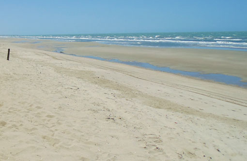 Nível do mar subiu em média 8 centímetros desde 1992