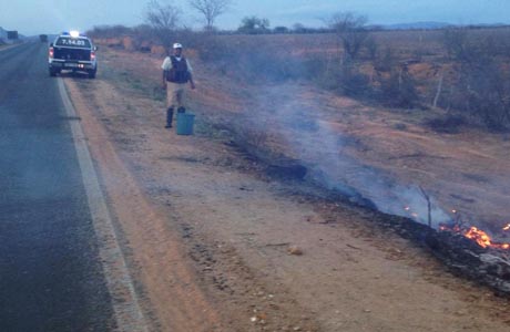 Sudoeste: Polícia Rodoviária apaga fogo nas margens da BA 026