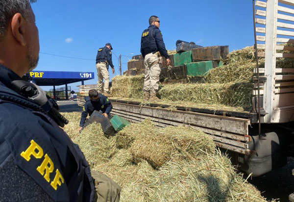 PRF na Bahia registra aumento de 22% nas apreensões de maconha em 2021