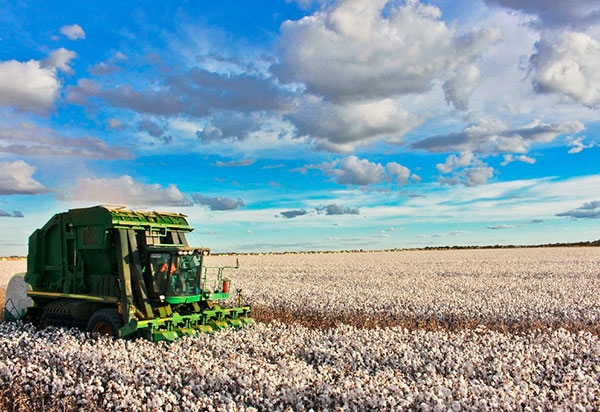 Municípios baianos são destaque nacional na Agropecuária no PIB de 2018