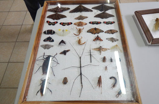 Rio do Antônio: Colégio Estadual realizou Exposição 'Fatos e Fotos'