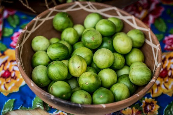 Produtos orgânicos do Semiárido baiano ganham mercado internacional com incentivo à preservação ambiental