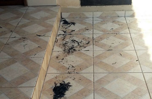 Você Repórter: Queimada no Bairro Santa Tereza incomoda população local