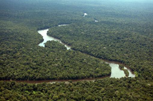 Temer revoga decreto sobre reserva ambiental na Amazônia 