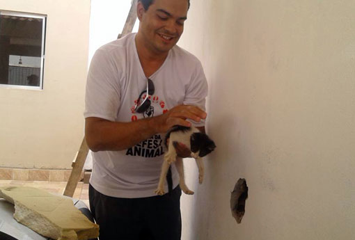 Brumado: protetor da ASPAB resgata gato que estava preso entre paredes no Bairro Baraúnas