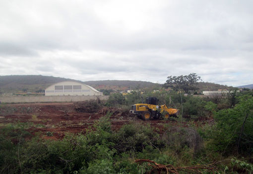 Brumado: MODERA questiona supressão vegetal em margens do Riacho 'Bate Pé'
