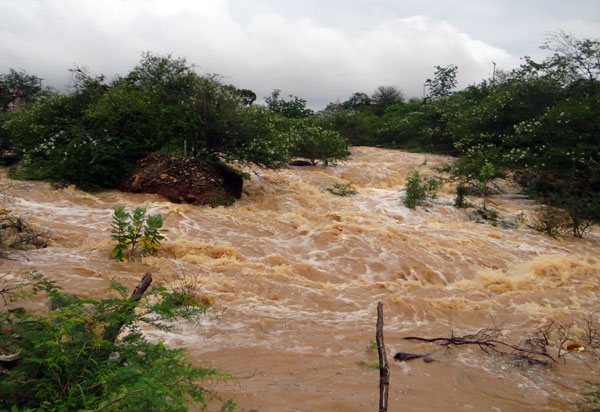 Verão: cuidados para evitar acidentes em mares e rios