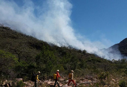 Rio de Contas: Corpo de Bombeiros e brigadistas controlam incêndio que atingiu margem de cachoeira