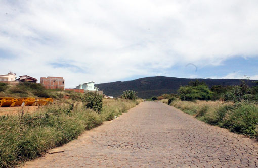 Brumado: Mato toma conta da Rua Antônio Francisco da Silva