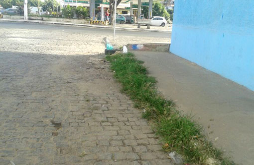 Brumado: Moradores cobram capina em rua