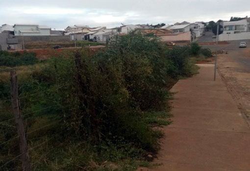 Brumado: morador da Rua Israel Dias de Oliveira cobra da prefeitura  solução para precária iluminação, insetos e terrenos baldios 