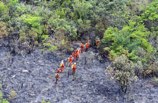 Governador Rui Costa sobrevoa áreas atingidas pelo incêndios na Chapada