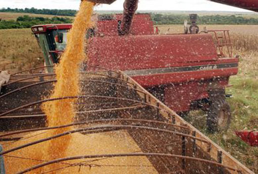 IBGE: PIB cai 0,8 % no terceiro trimestre e tem a sétima queda seguida