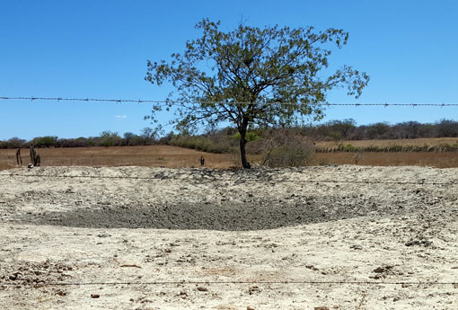 Brumado e mais 171 municípios da Bahia tem situação de emergência reconhecido devido a seca 