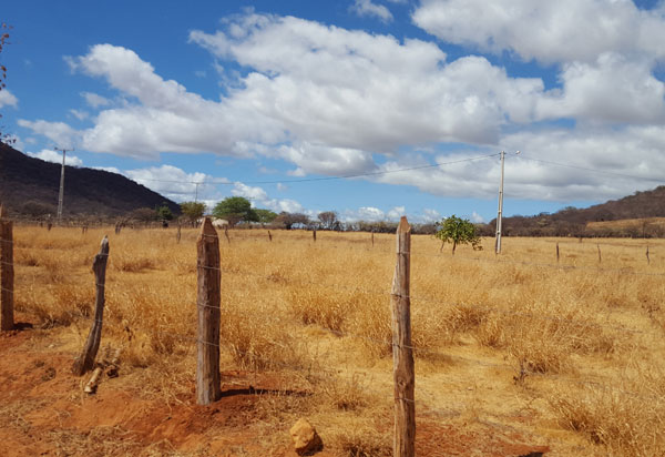 Começa em agosto prazo para declarar imposto sobre propriedade rural