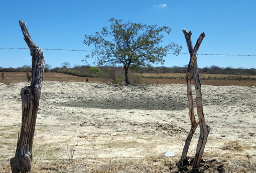 Brumado e mais 107 municípios tem situação de emergência decreta pelo o Estado devido a seca