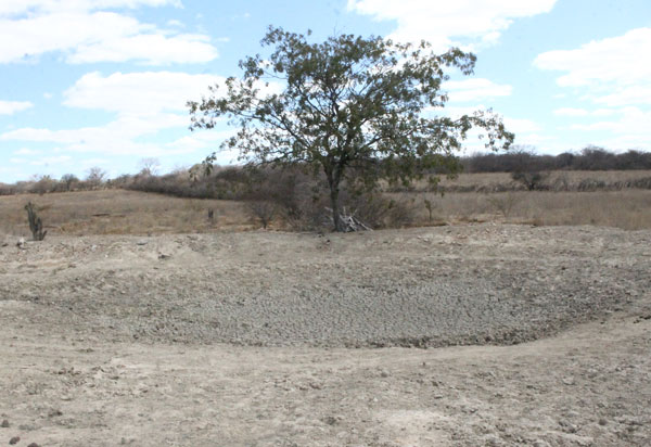 MDR reconhece situação de emergência em Brumado por conta da seca