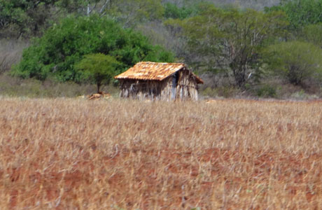 Governo federal investirá R$ 17,5 milhões em obras de combate à seca na Bahia